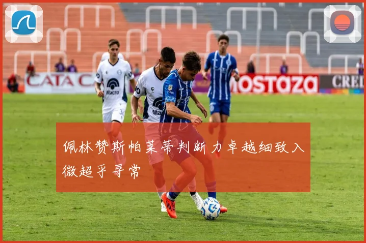 佩林赞斯帕莱蒂判断力卓越细致入微超乎寻常